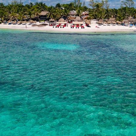 Serenity Authentic Glamping Tulum (Adults Only) 스뿌하 외부 사진